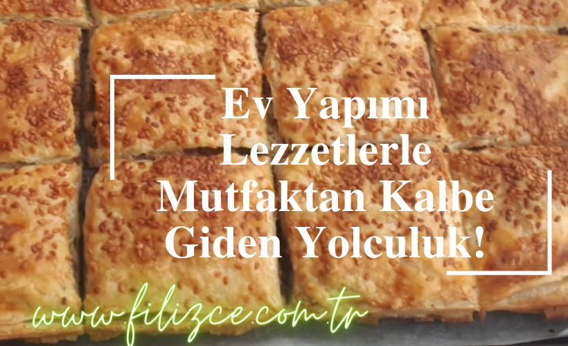 Tepsi Tandır Böreği | Aynı Gün Teslimat – sevgimantı.com Tepsi Tandır Böreği | Aynı Gün Teslimat – sevgimantı.com