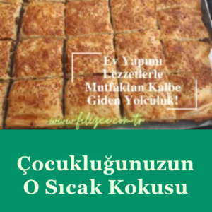 Kıymalı Kayseri Tandır Böreği  | Sevgi Mantı